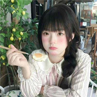 极岛森林第二季